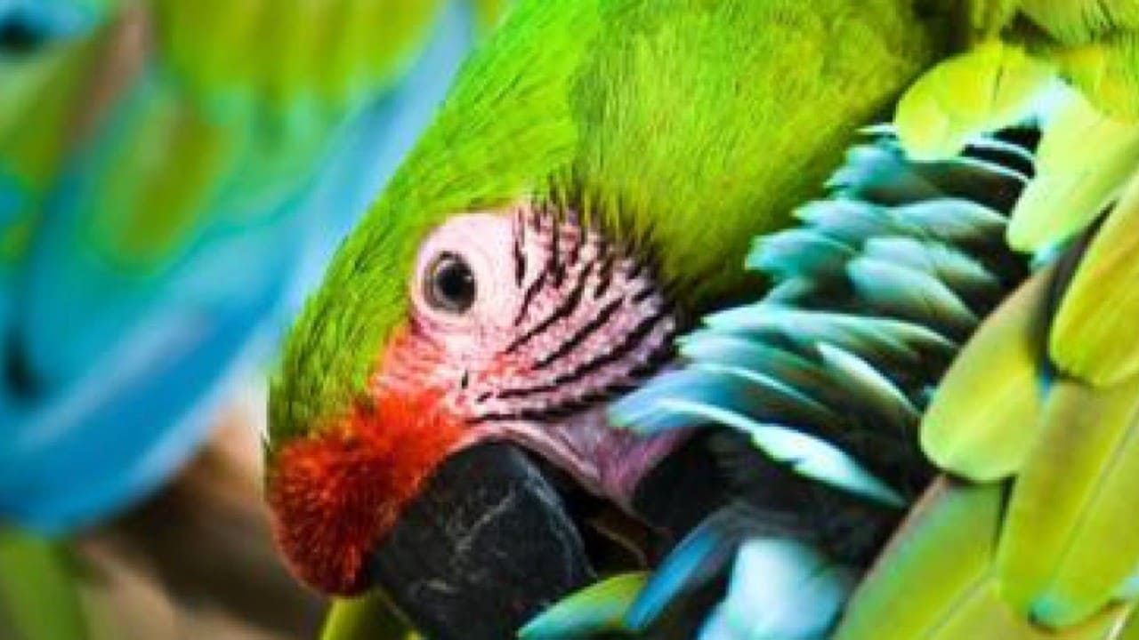 Pedalando naturaleza