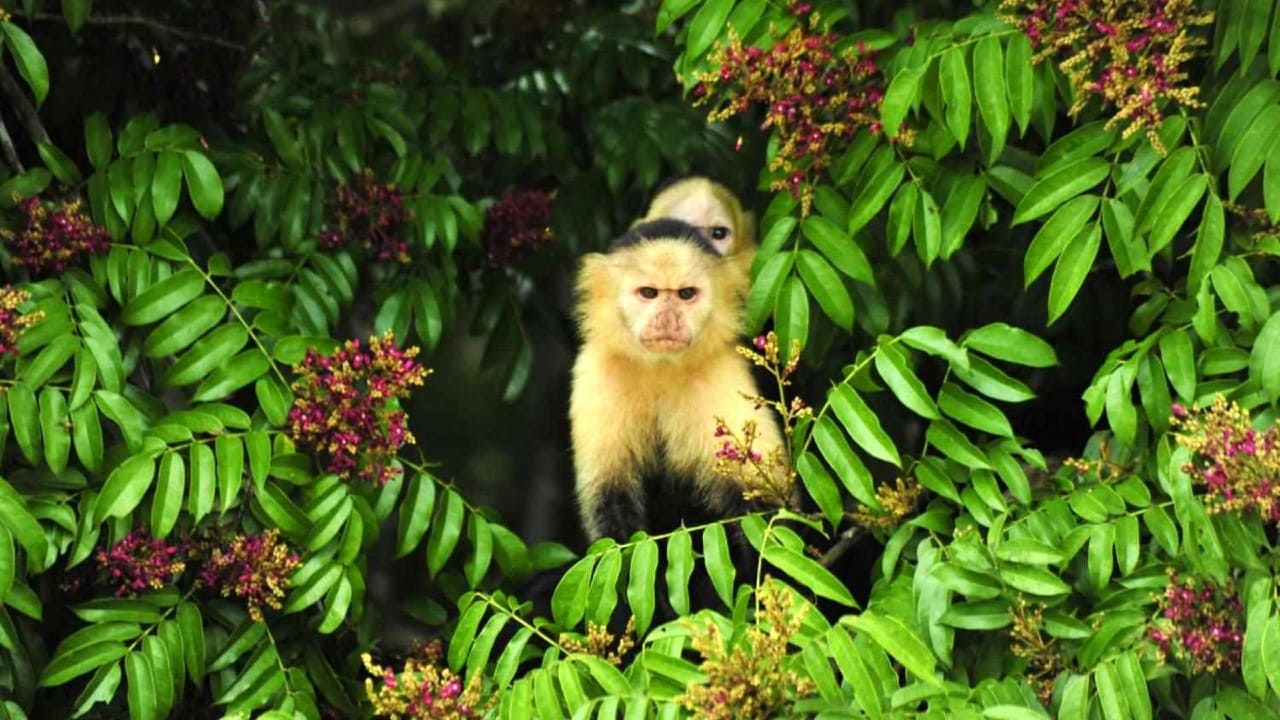 Pedalando naturaleza